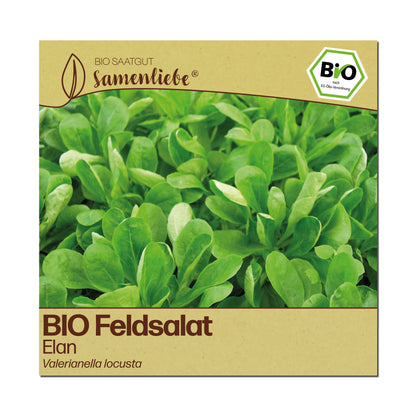 BIO Feldsalat "Elan"
