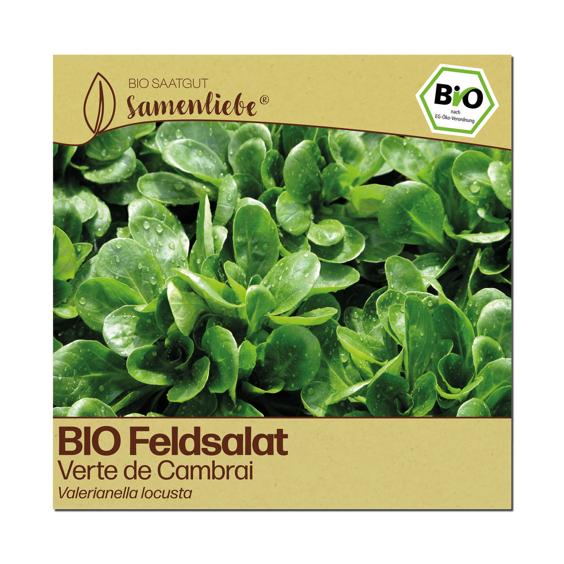 BIO Feldsalat "Verte de Cambrai"