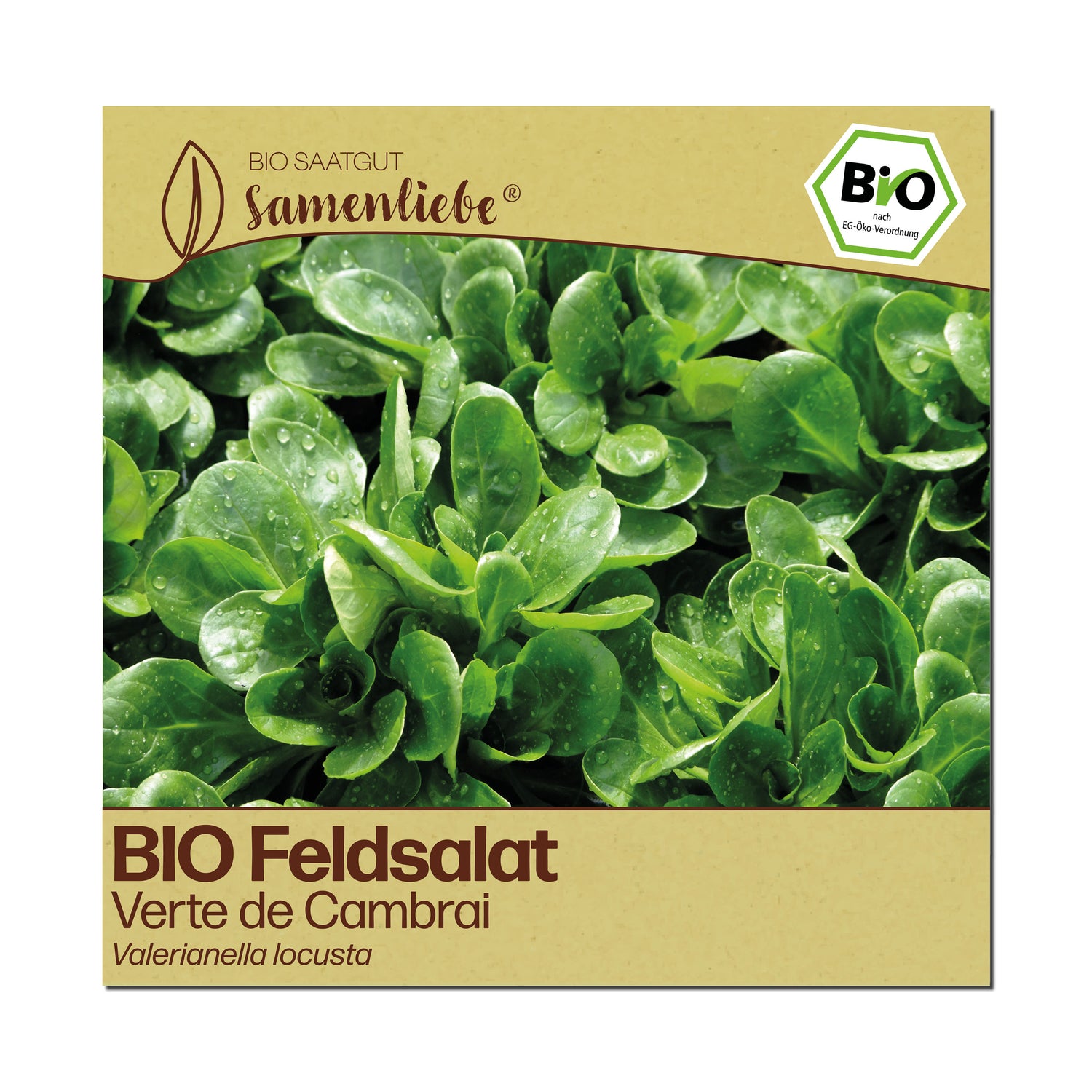 BIO Feldsalat "Verte de Cambrai"