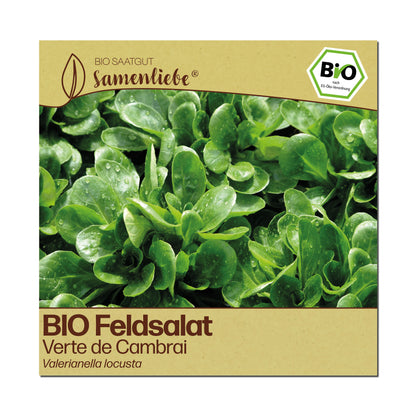 BIO Feldsalat "Verte de Cambrai"