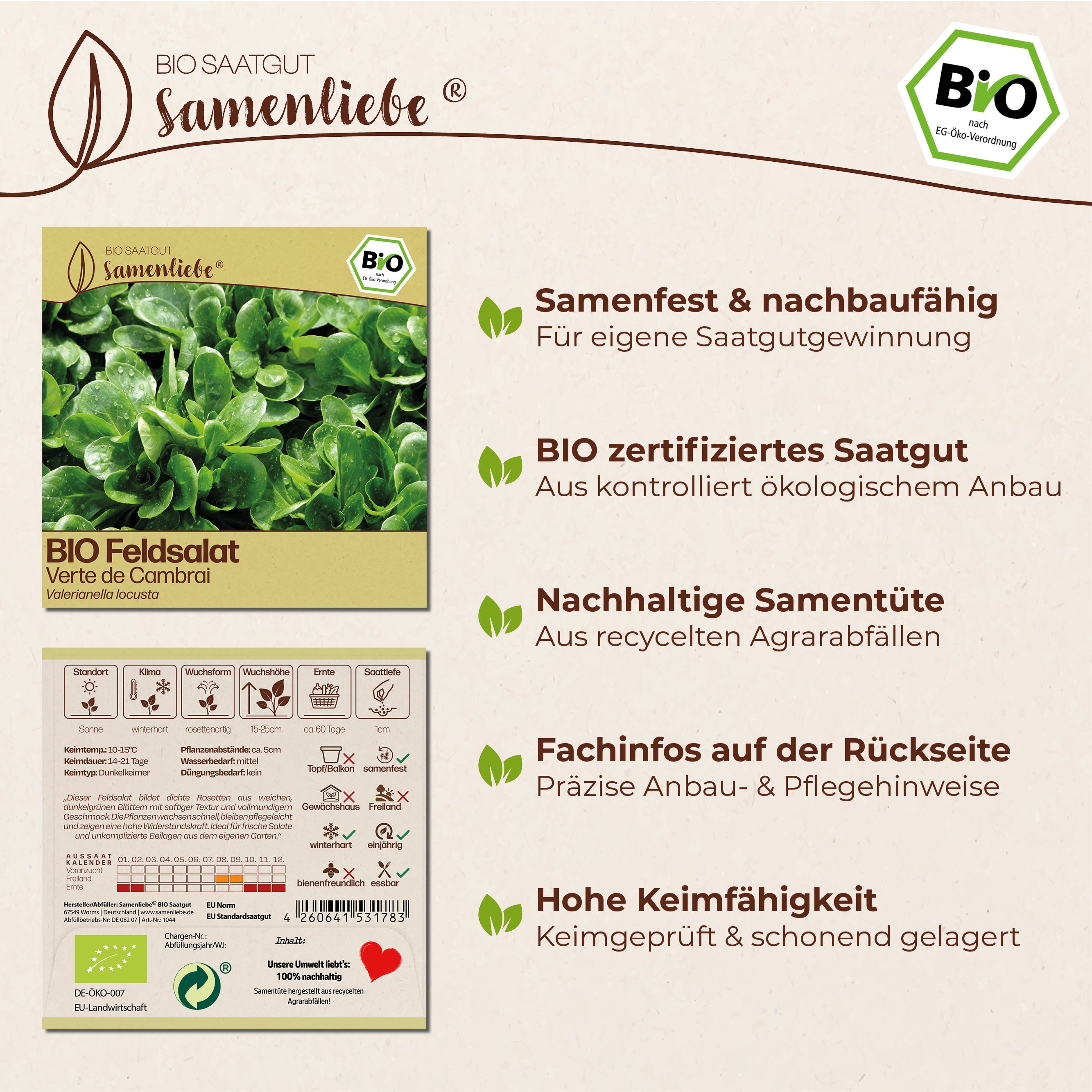 BIO Feldsalat "Verte de Cambrai"