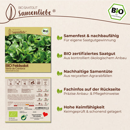 BIO Feldsalat "Verte de Cambrai"