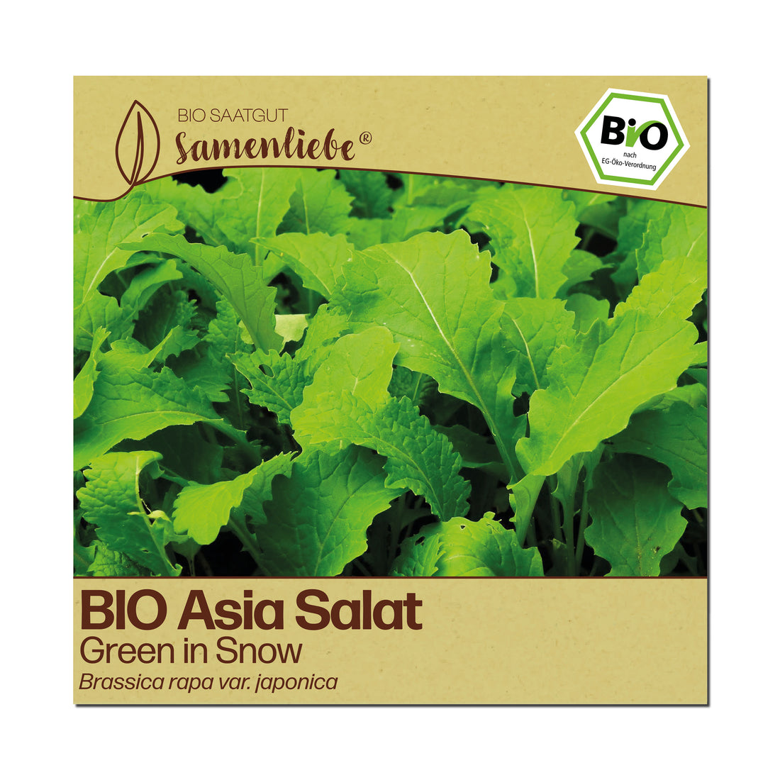 BIO Asia Salat "Green in Snow"