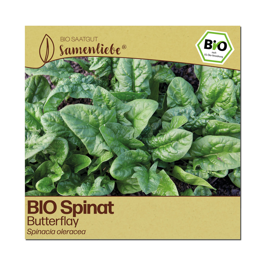 BIO Spinat "Butterflay"
