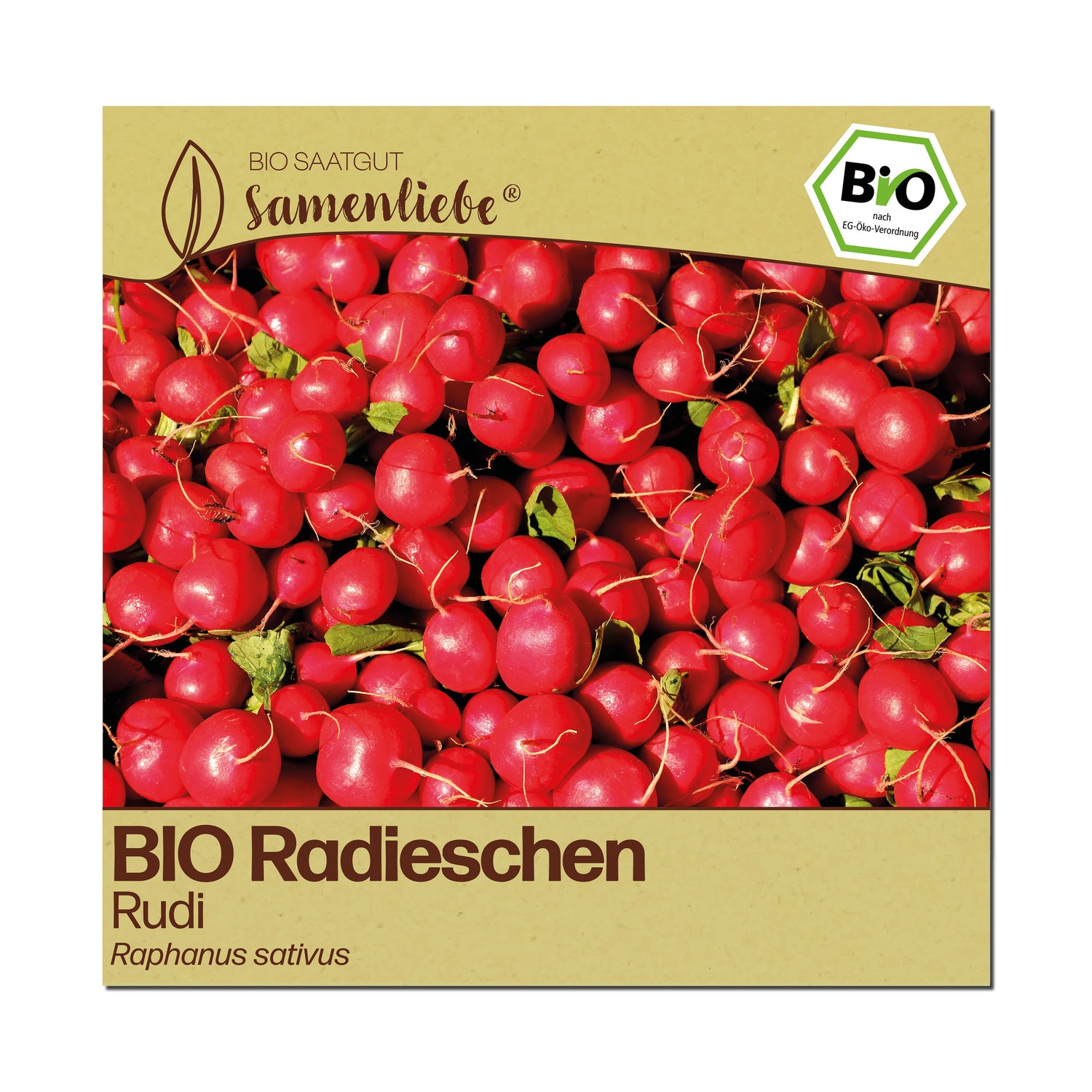 BIO Radieschen "Rudi"