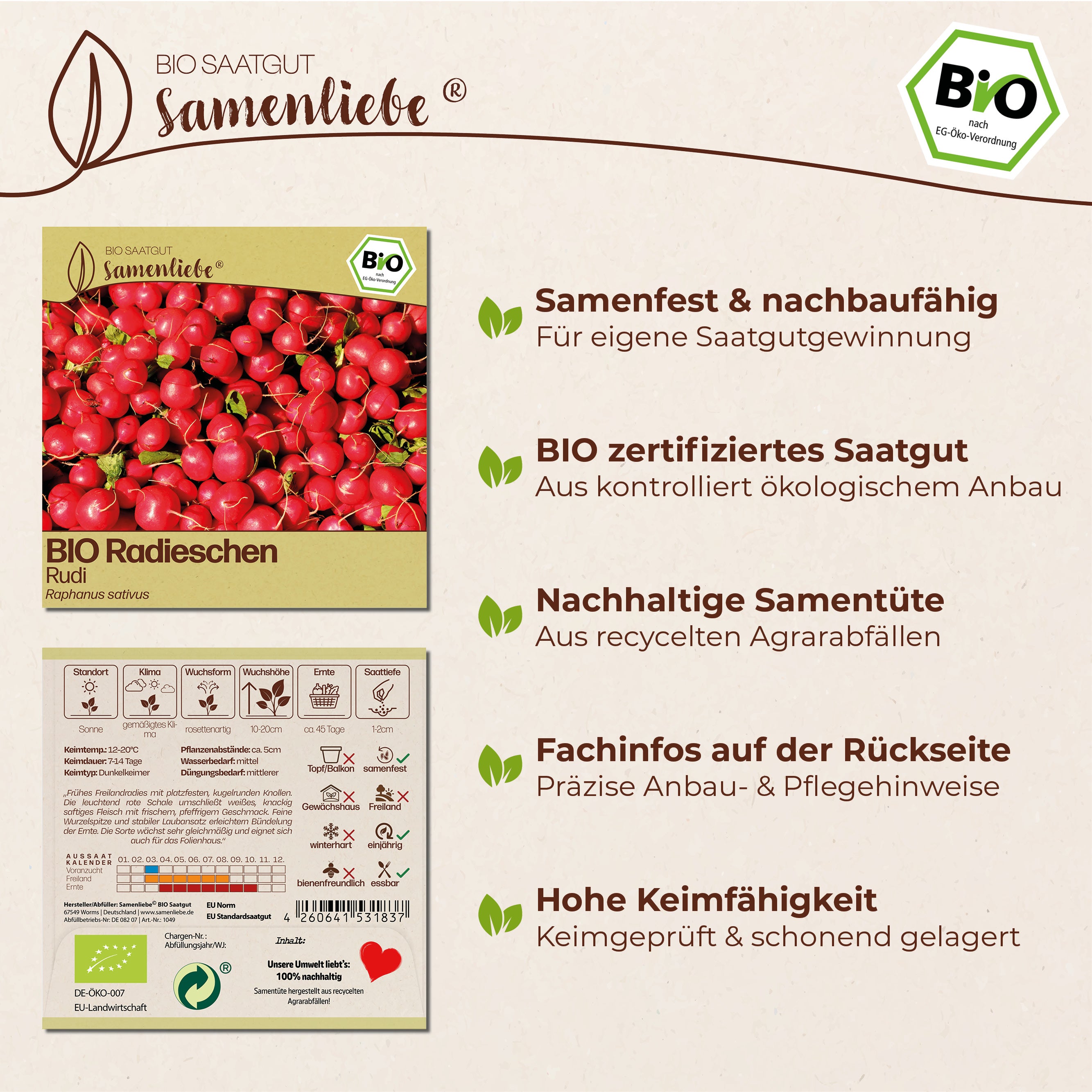 BIO Radieschen "Rudi"