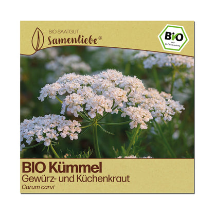 BIO Kümmel "Küchenkraut"