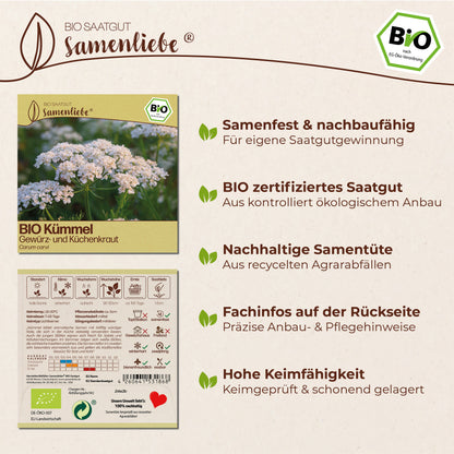 BIO Kümmel "Küchenkraut"