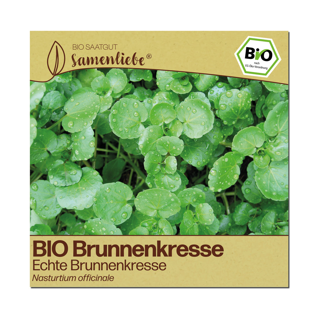 BIO Brunnenkresse "Echte Brunnenkresse"