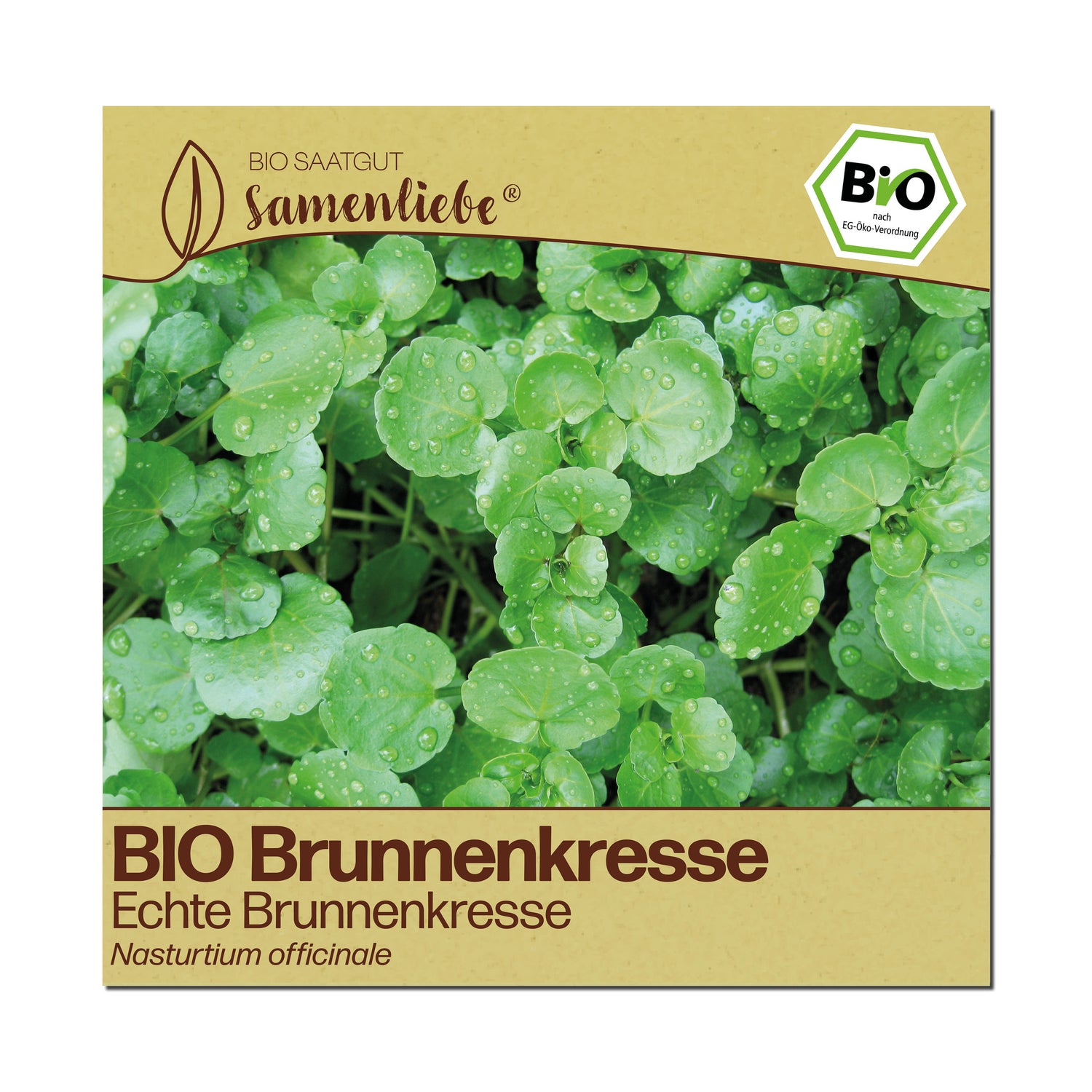 BIO Brunnenkresse "Echte Brunnenkresse"