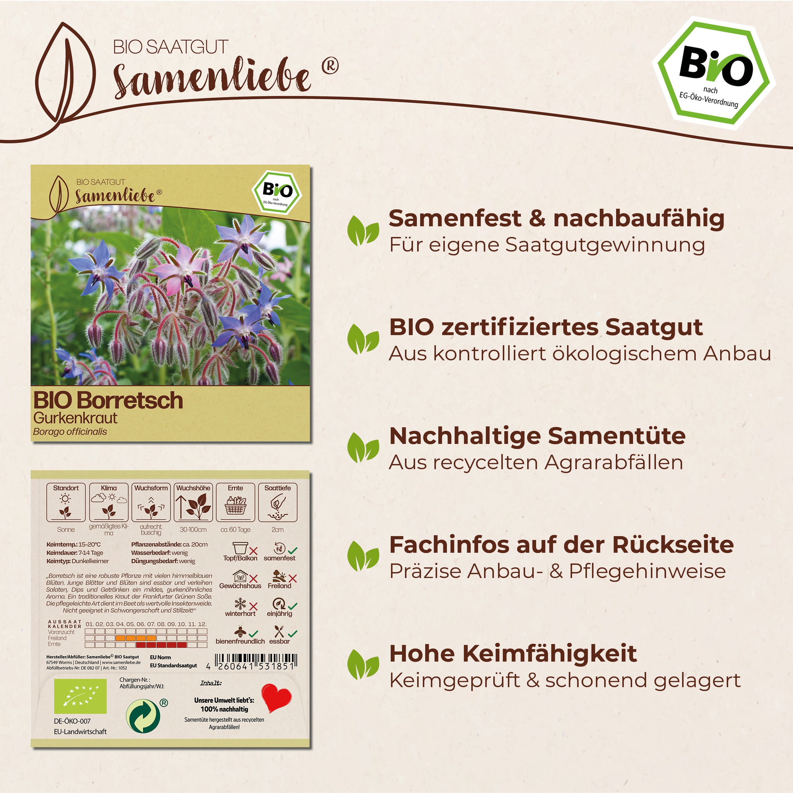 BIO Borretsch "Gurkenkraut"