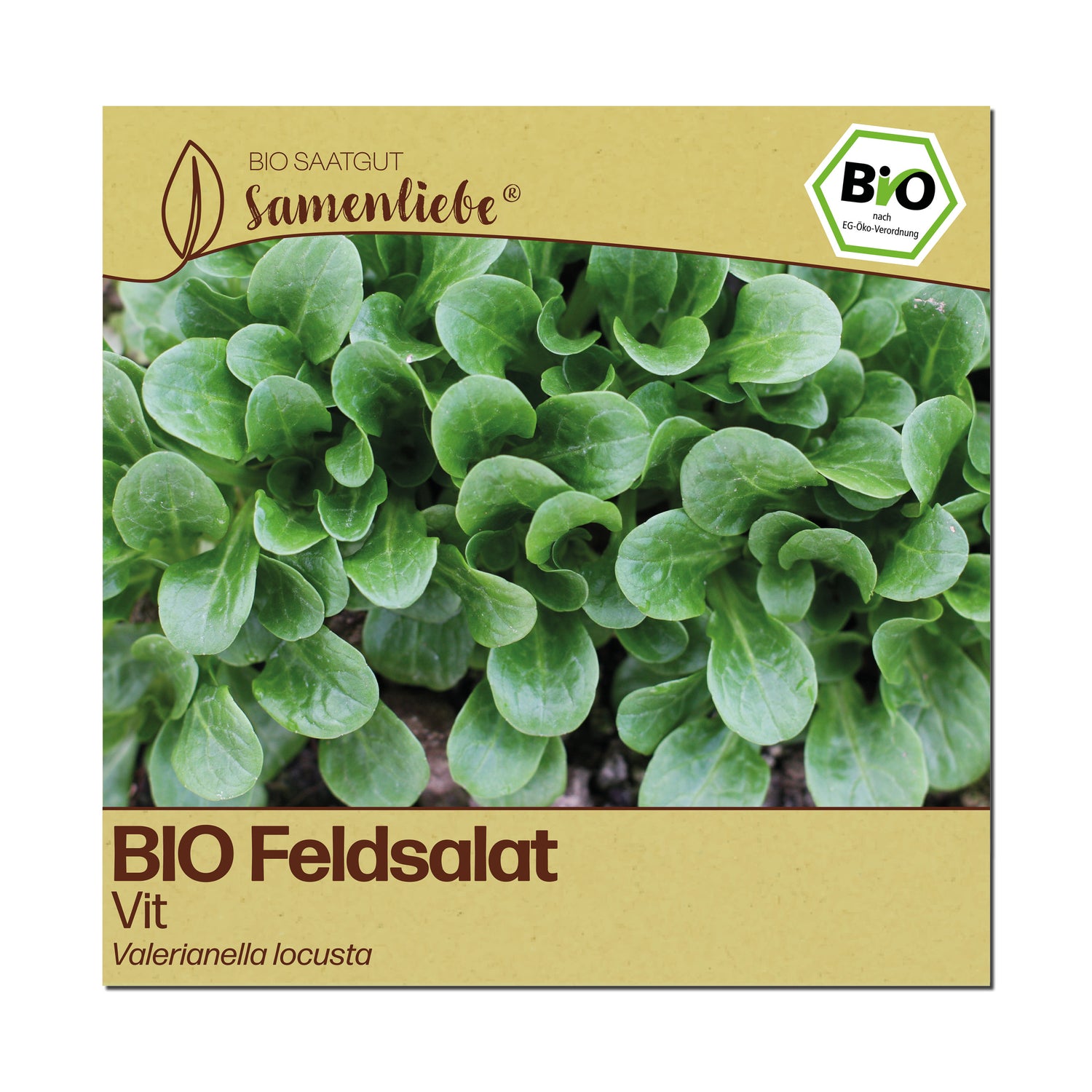 BIO Feldsalat "Vit"