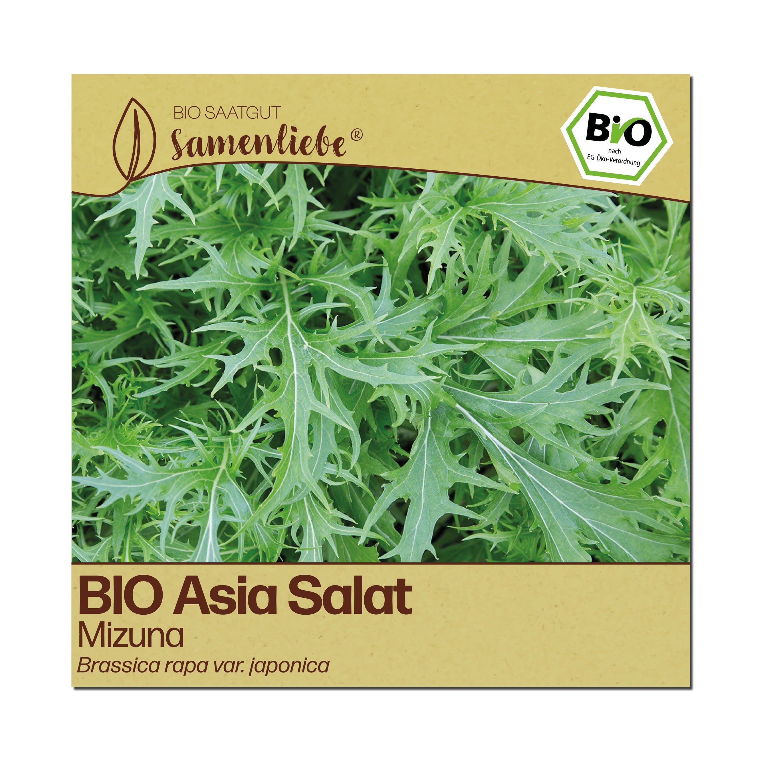 BIO Asia Salat "Mizuna"