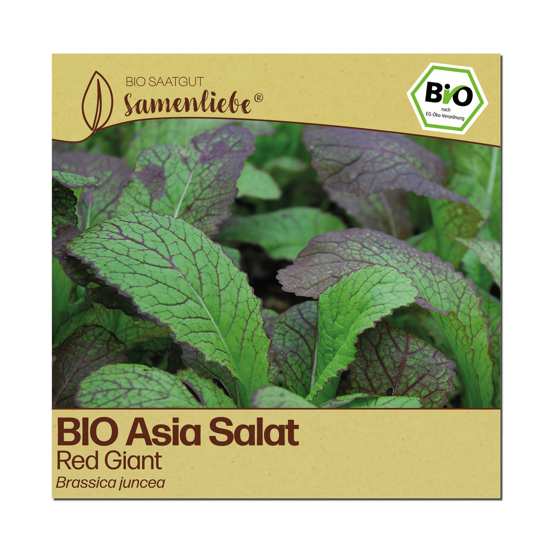 BIO Asia Salat "Red Giant"