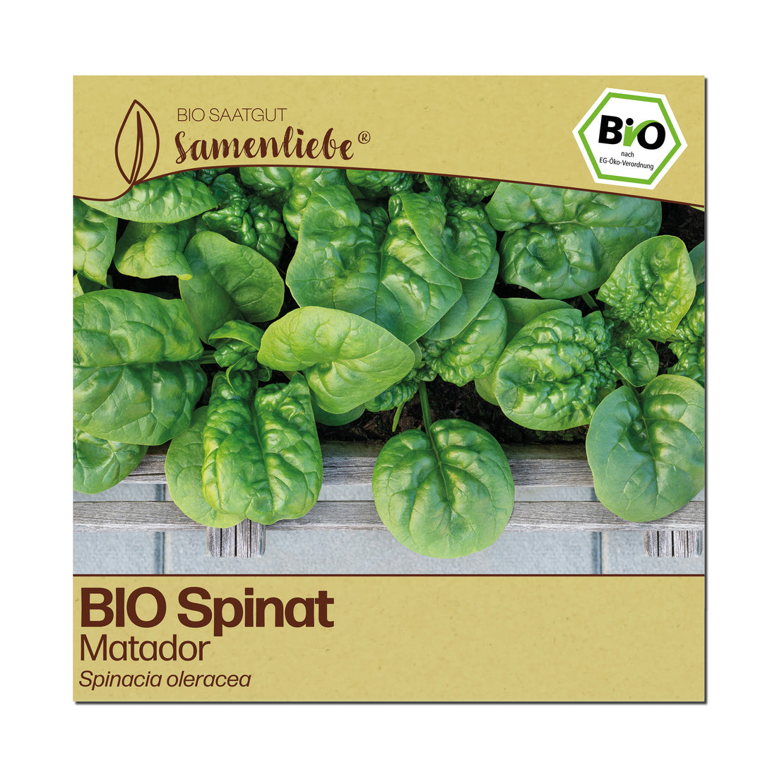 BIO Spinat "Matador"