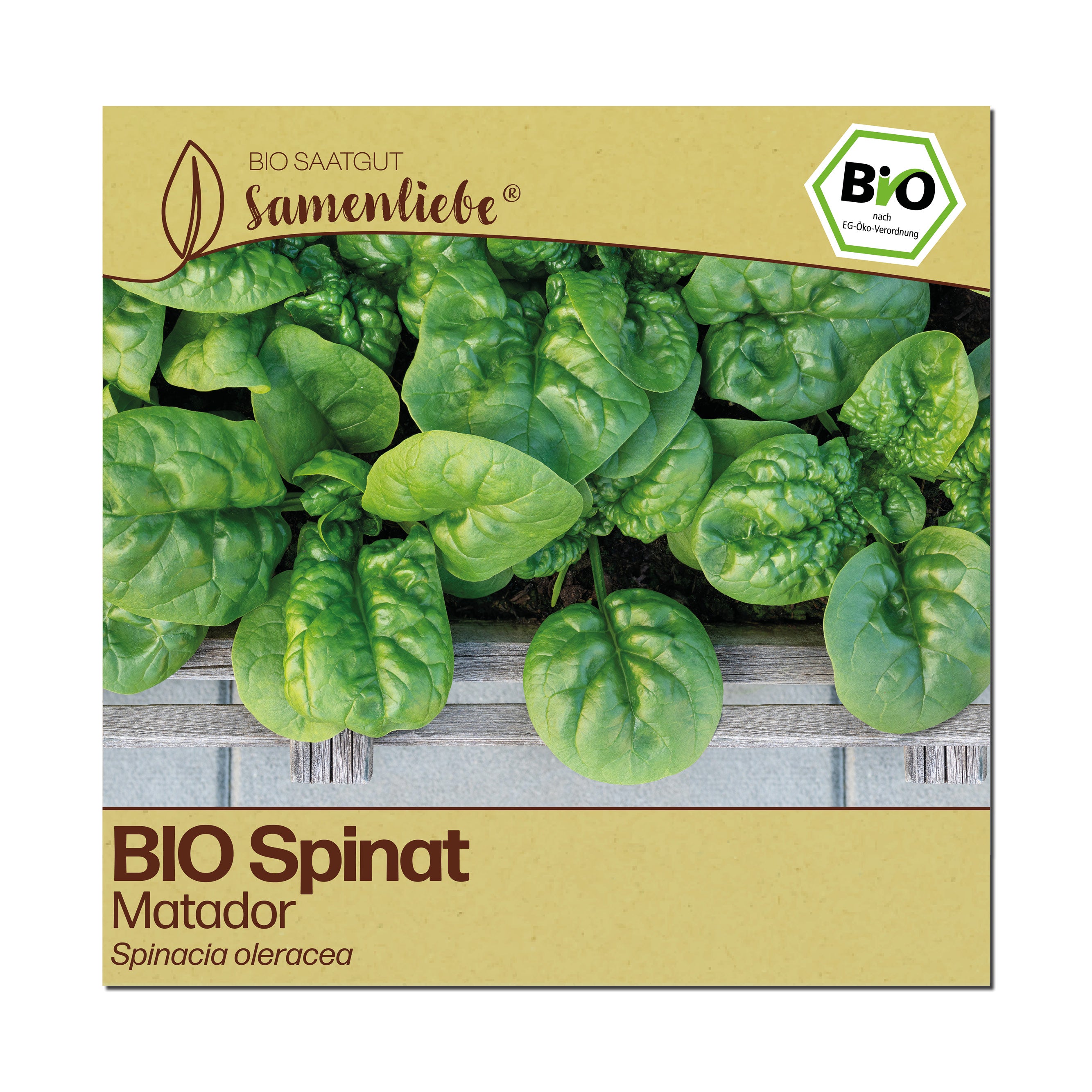 BIO Spinat "Matador"