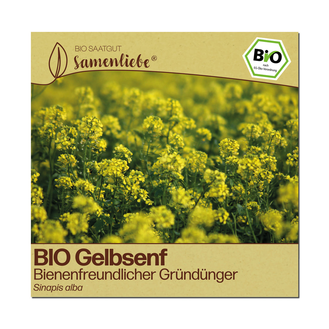 BIO Gelbsenf "Bienenweide"