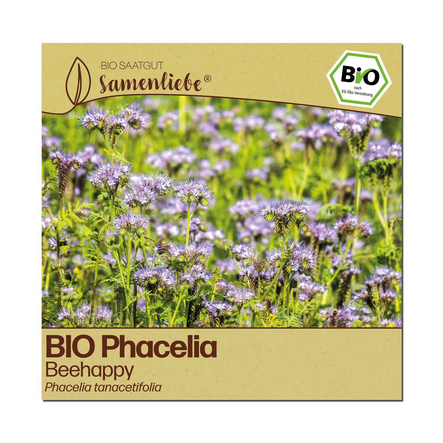 BIO Phacelia "Beehappy"