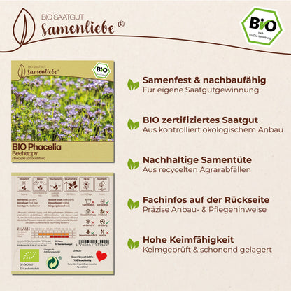 BIO Phacelia "Beehappy"