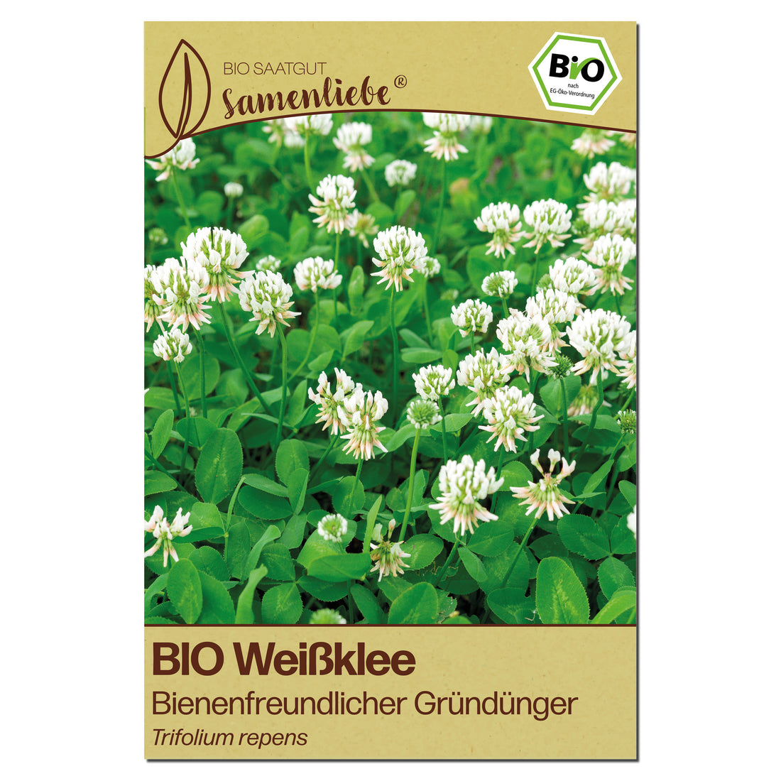 BIO Weißklee "Bienenfreundlicher Gründünger"