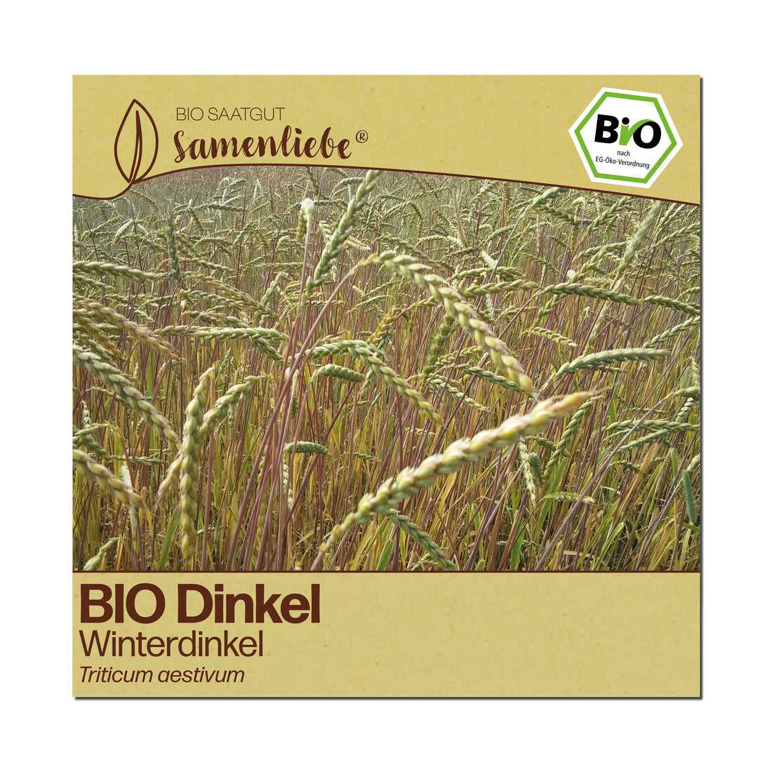 BIO Dinkel "Winterdinkel"