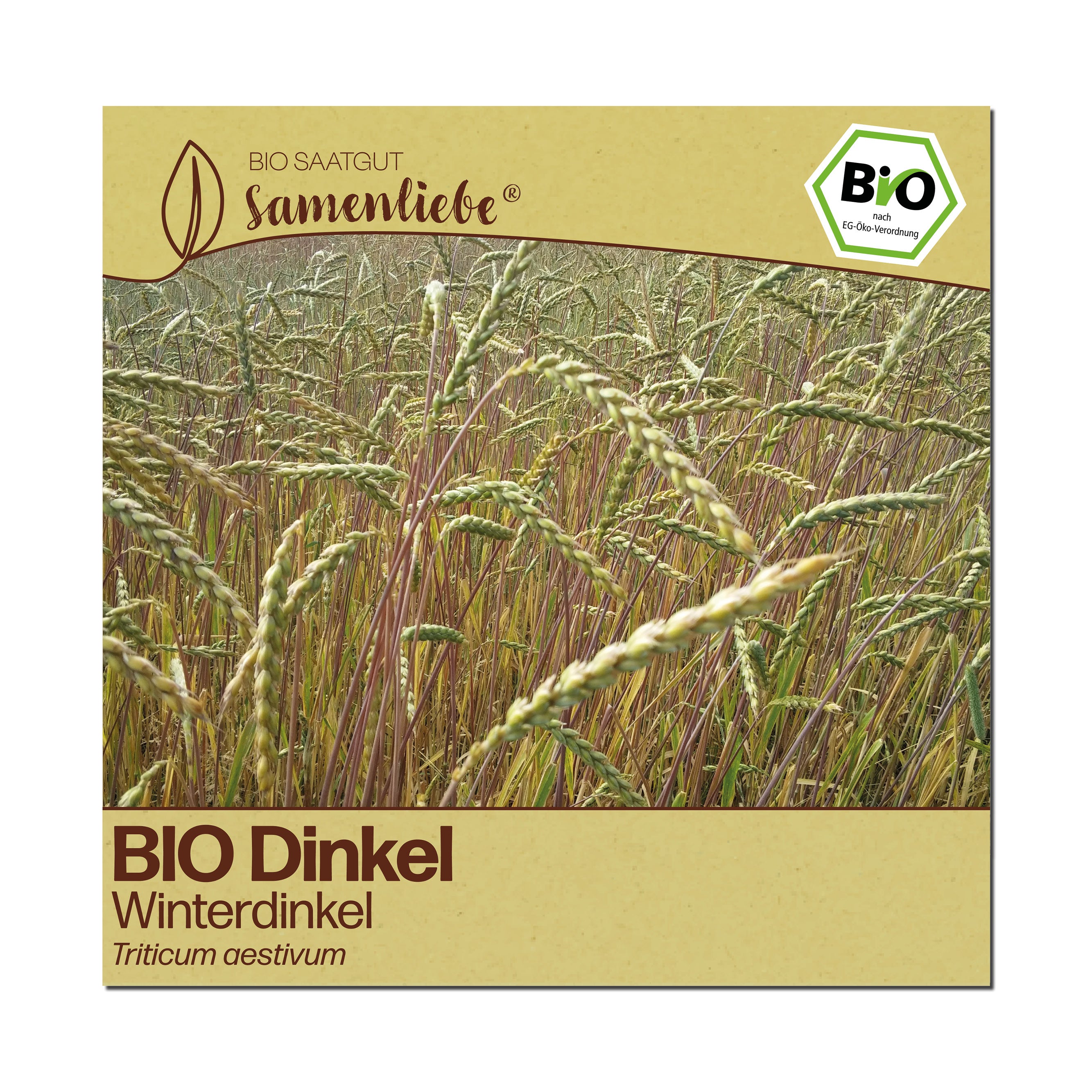 BIO Dinkel "Winterdinkel"