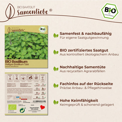 BIO Basilikum "Heiliges Basilikum Tulsi"