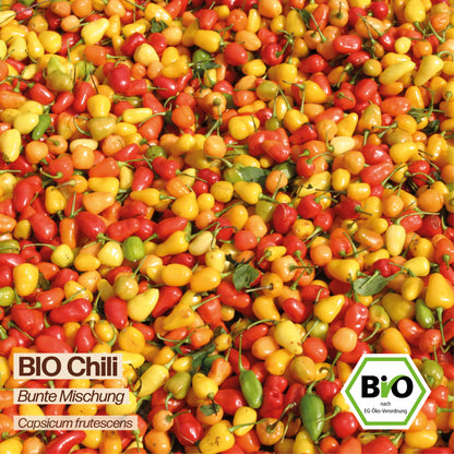 BIO Chili "Bunte Mischung"