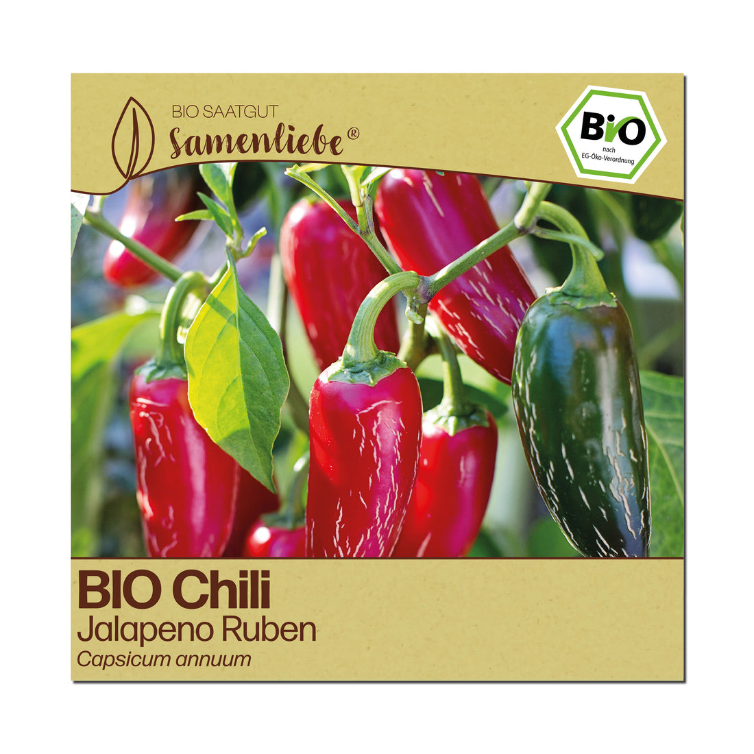 BIO Chili "Ruben"
