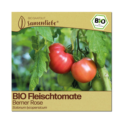 BIO Tomate "Berner Rose"