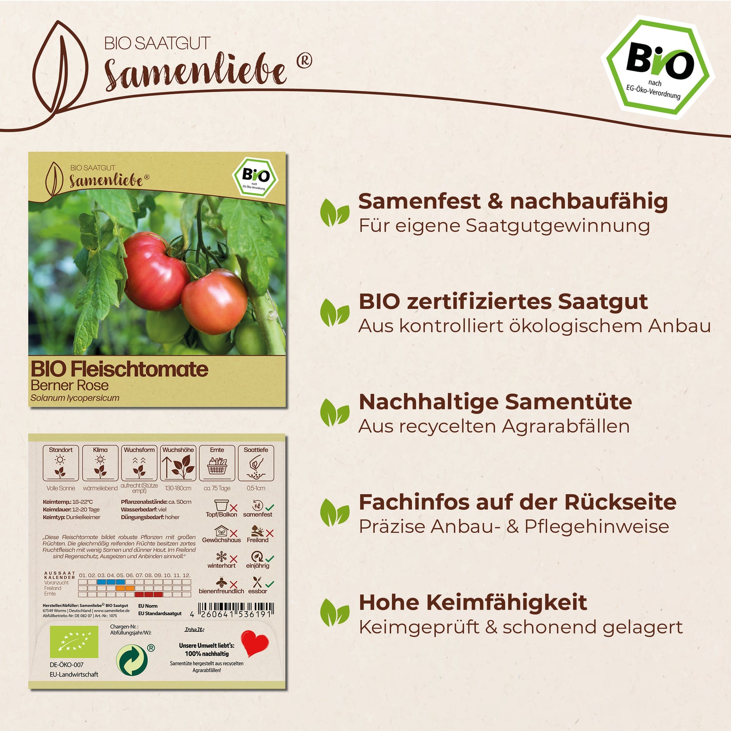 BIO Tomate "Berner Rose"