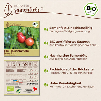 BIO Tomate "Berner Rose"
