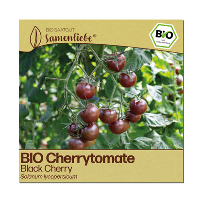 BIO Tomate "Black Cherry"