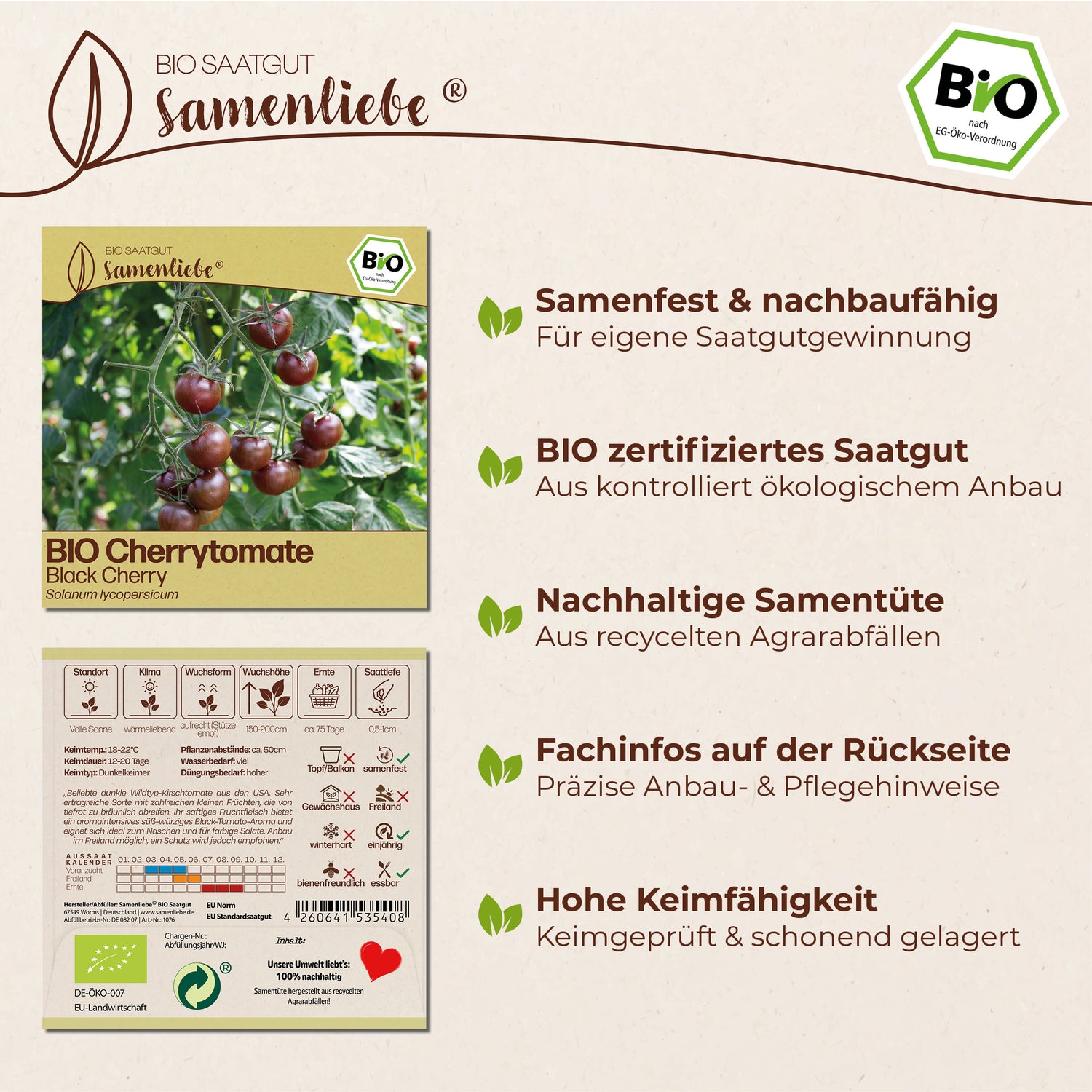 BIO Tomate "Black Cherry"