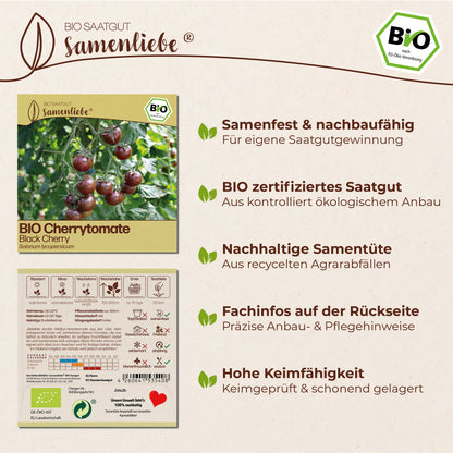 BIO Tomate "Black Cherry"