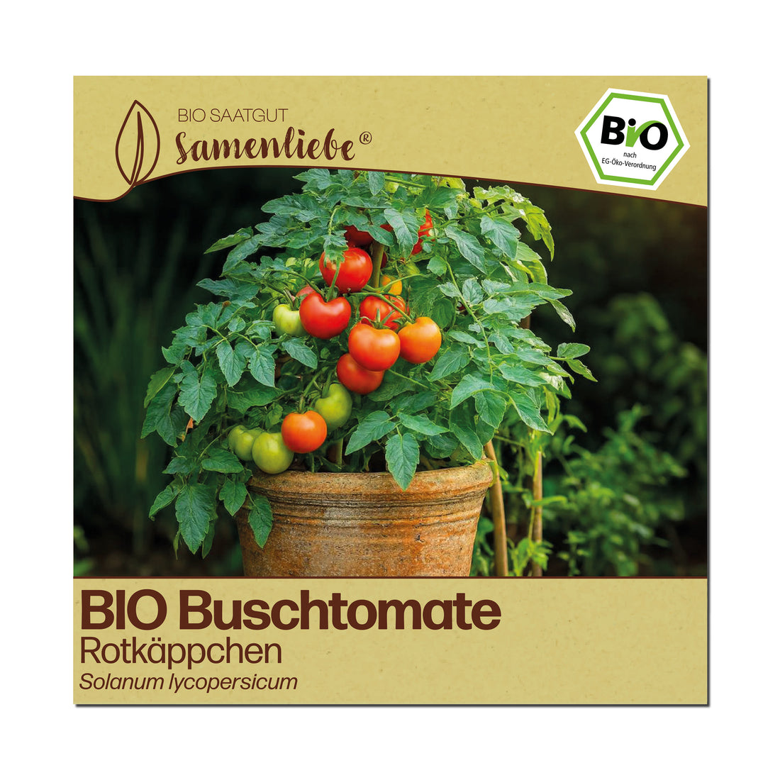BIO Tomate "Rotkäppchen"