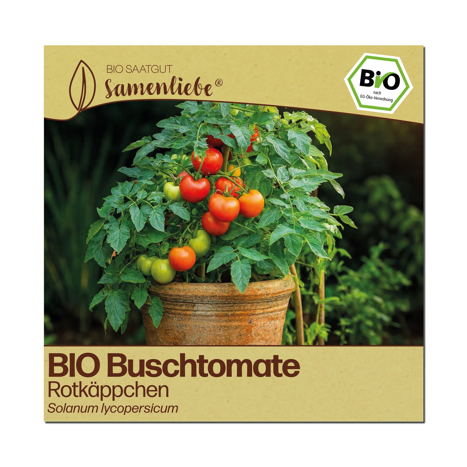BIO Tomate "Rotkäppchen"