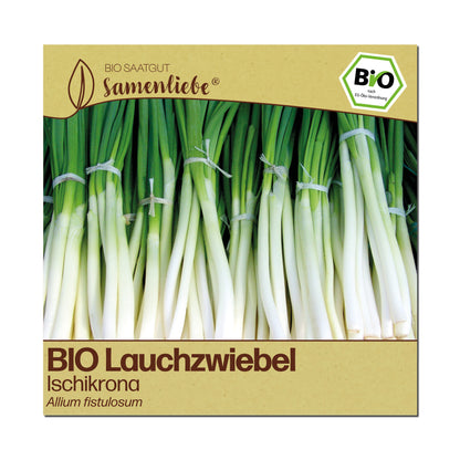 BIO Lauchzwiebel "Ischikrona"