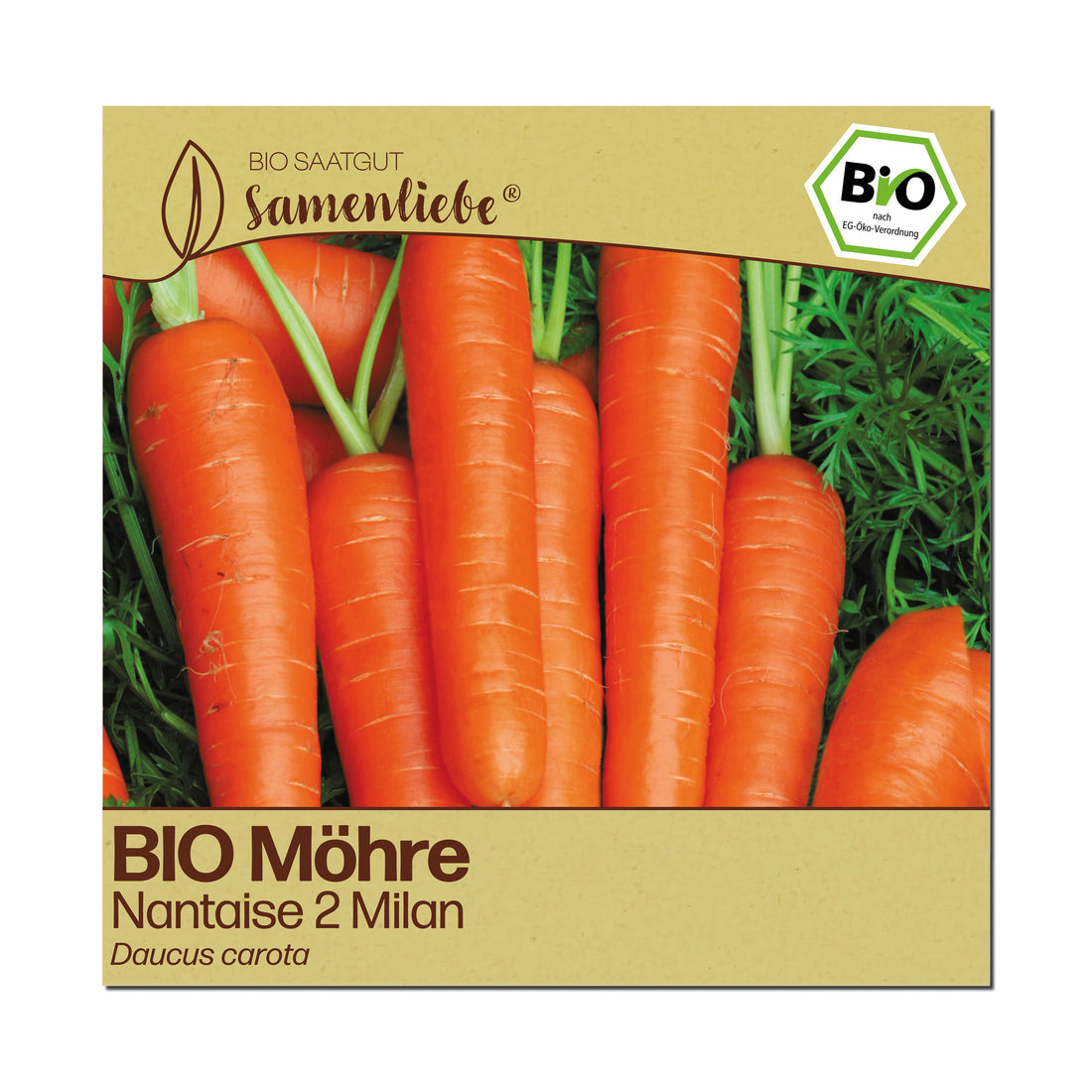 BIO Karotte "Nantaise 2 Milan"