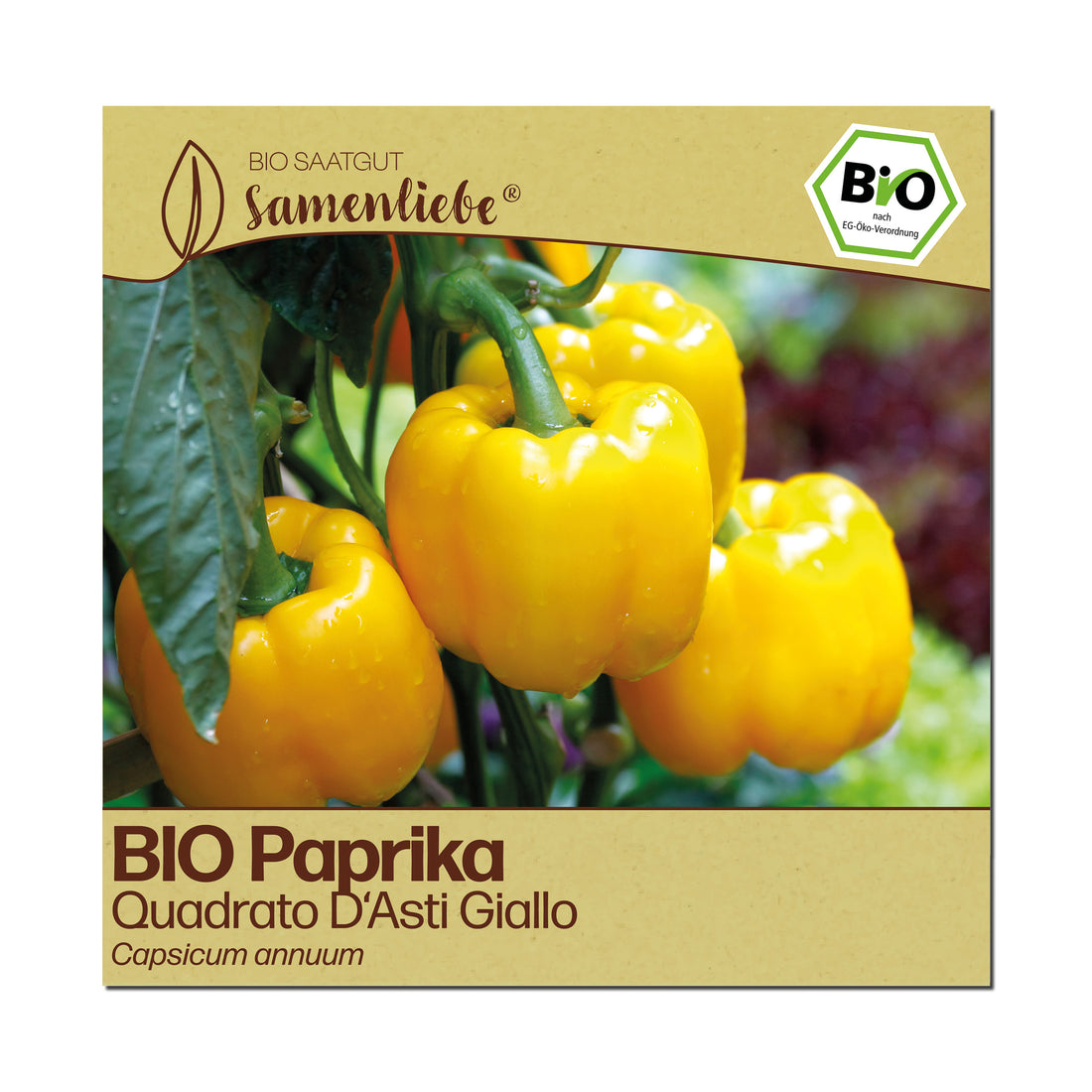 BIO Paprika "Quadrato D&