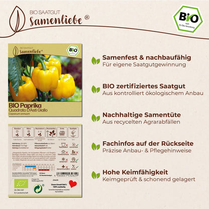 BIO Paprika "Quadrato D&