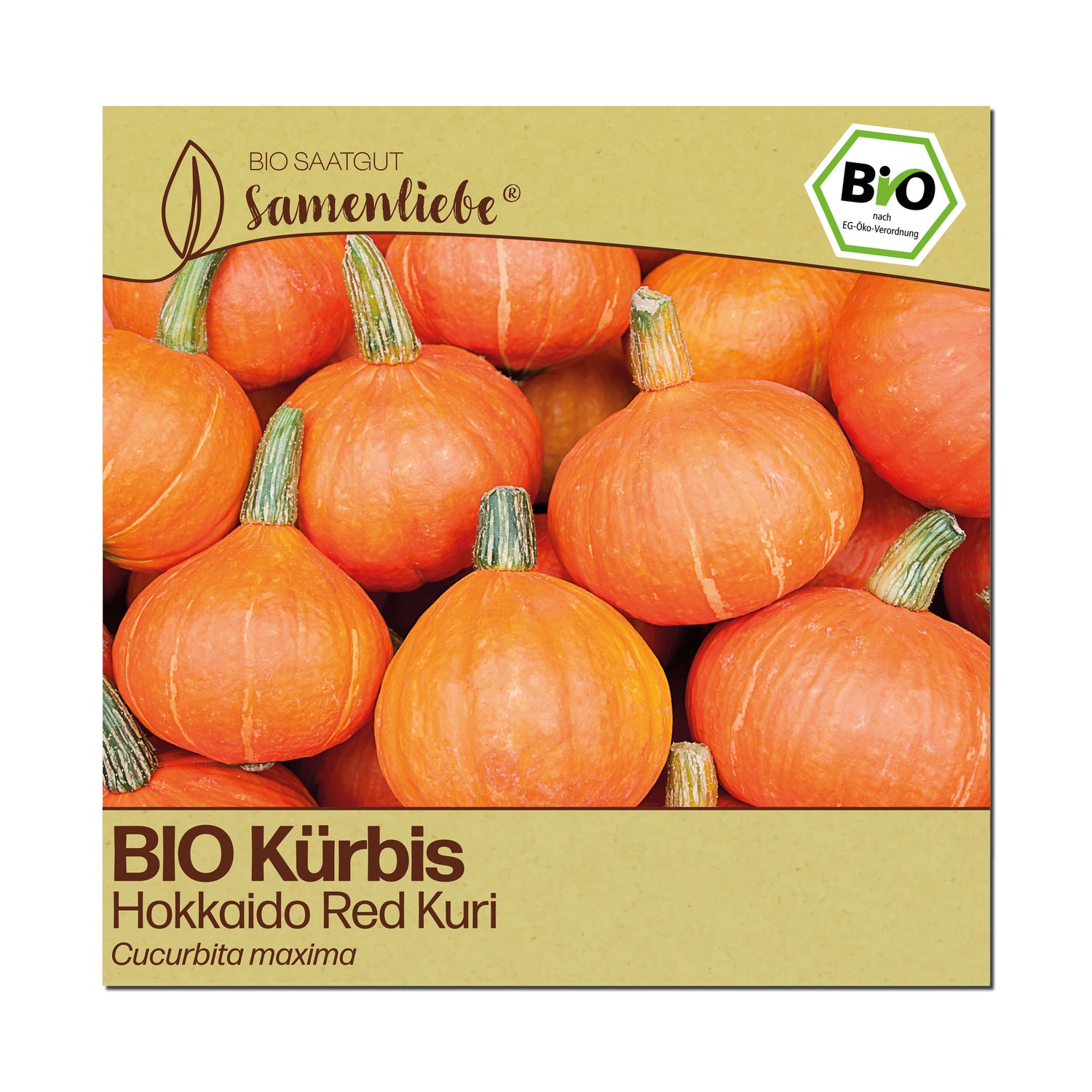 BIO Kürbis "Red Kuri"