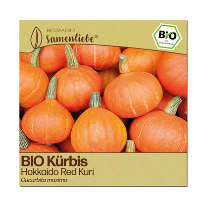 BIO Kürbis "Red Kuri"