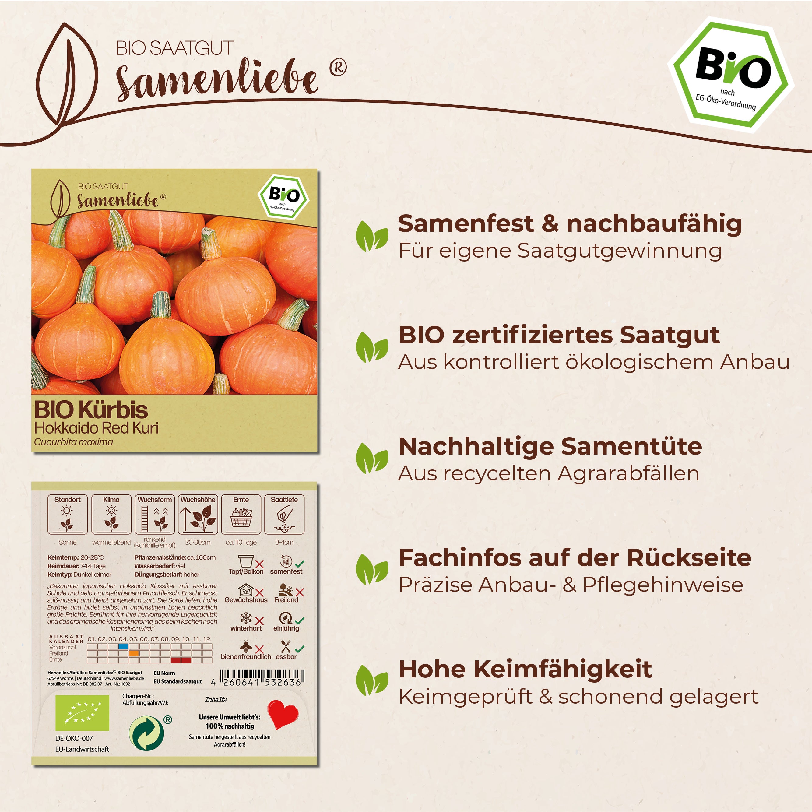 BIO Kürbis "Red Kuri"