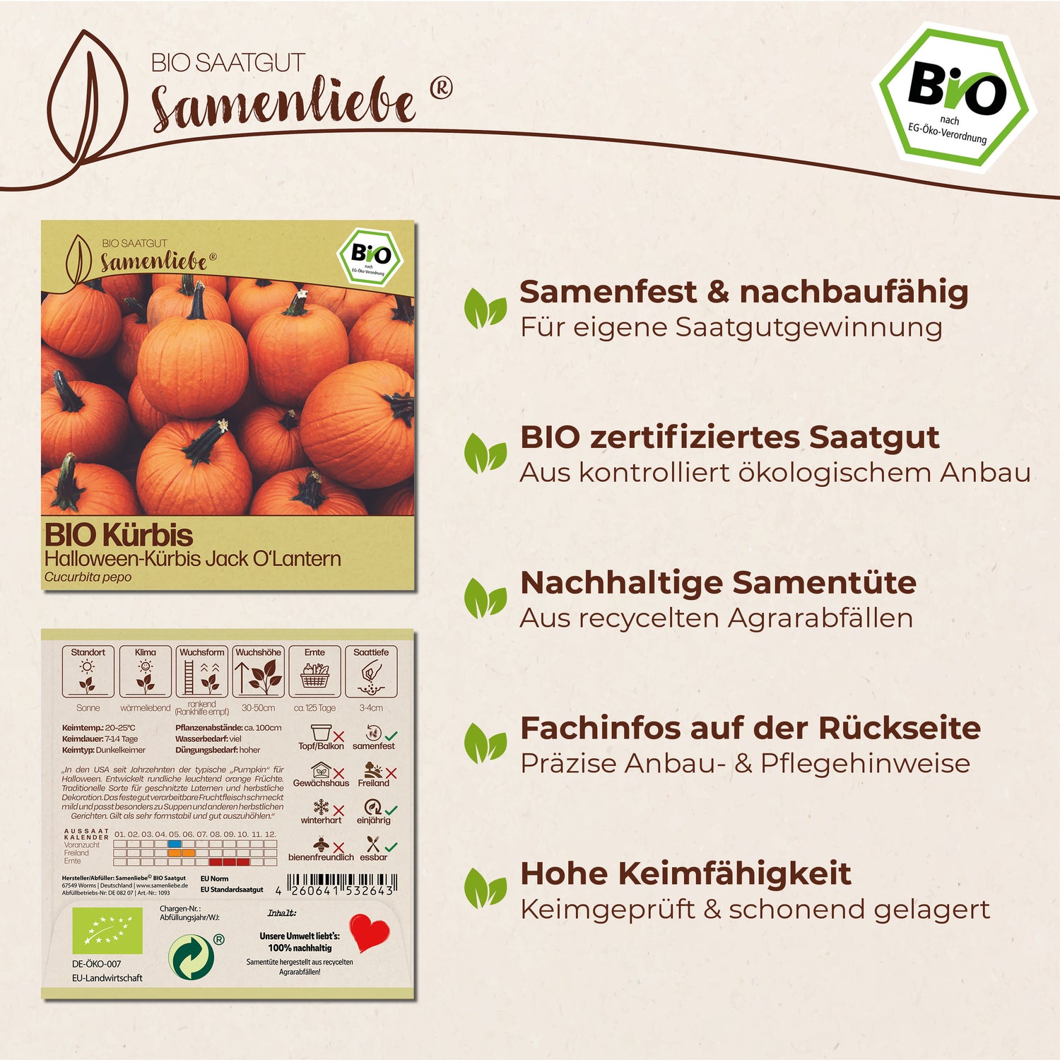 BIO Kürbis "Jack O&