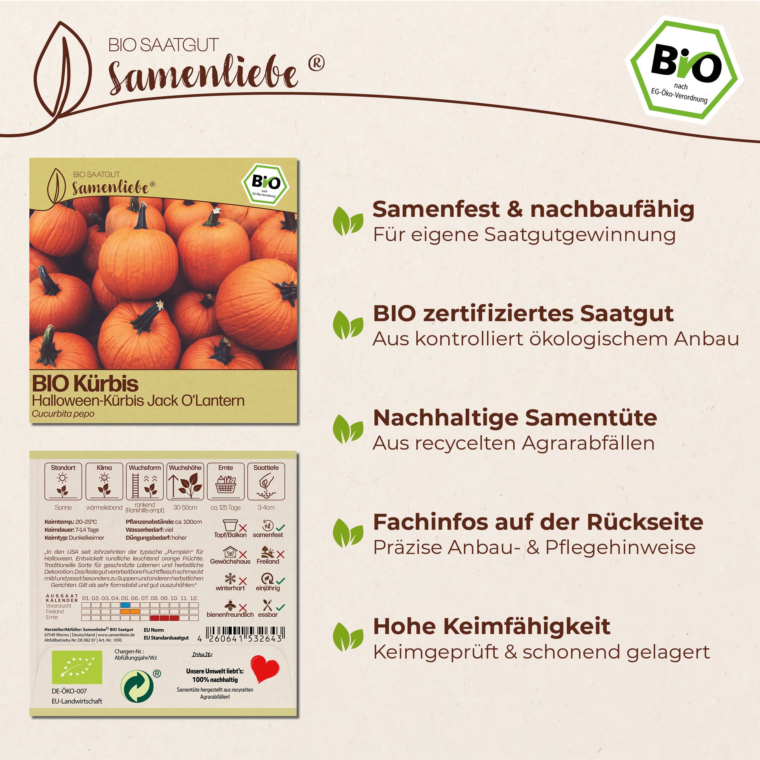 BIO Kürbis "Jack O&