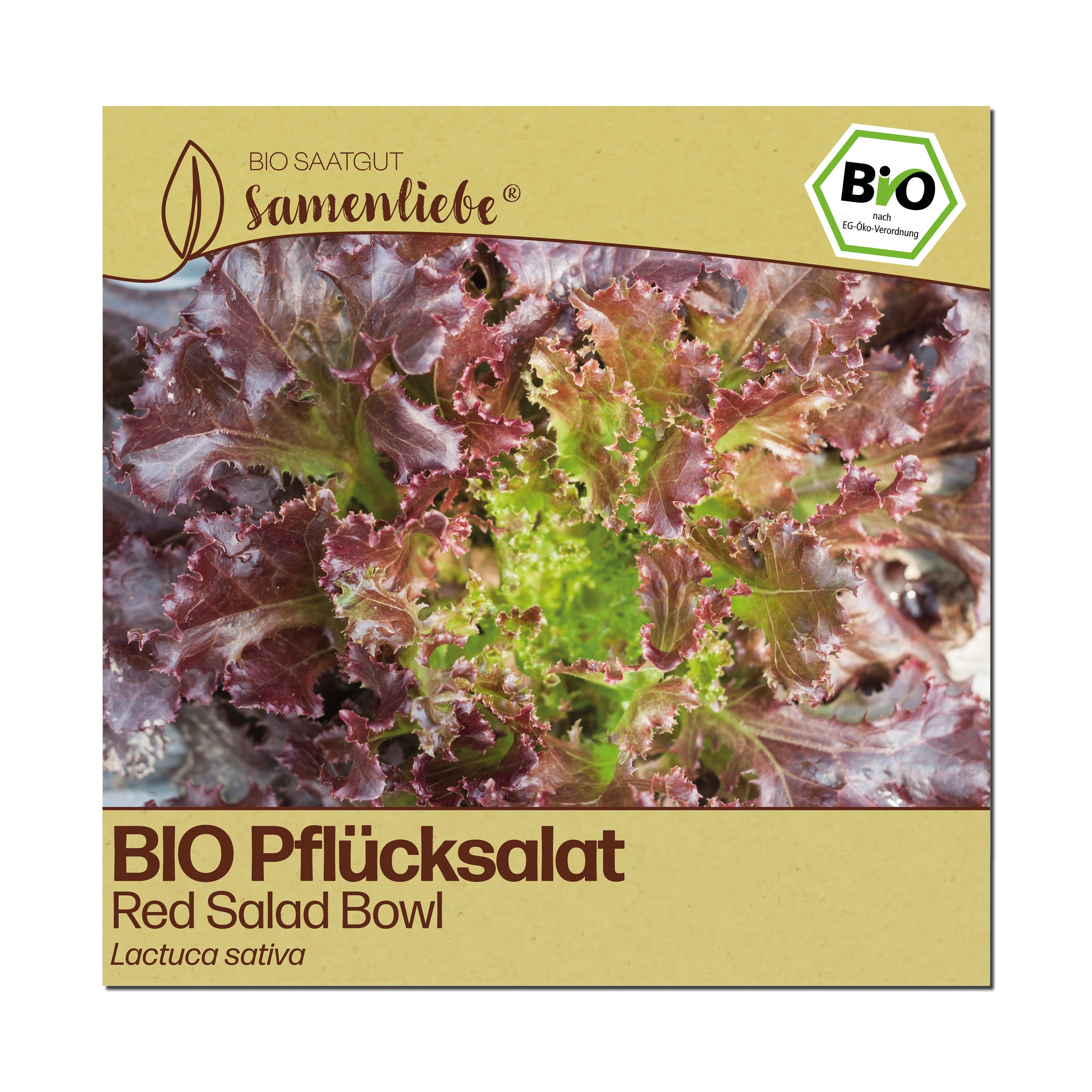 BIO Salat "Red Salad Bowl"