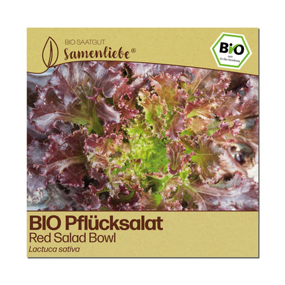 BIO Salat "Red Salad Bowl"