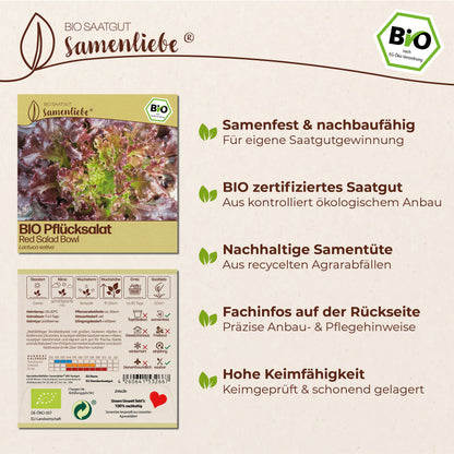 BIO Salat "Red Salad Bowl"