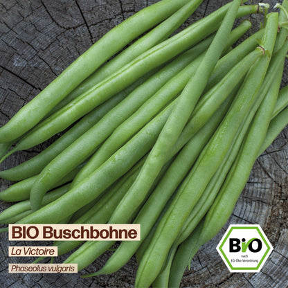 BIO Bohne "La Victoire"